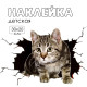 Наклейка интерьерная 3Д TAKE IT EASY «Котик», 30×20 см
