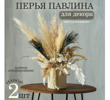 Перья павлина для декора 2 шт., 10×30 см