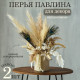 Перья павлина для декора 2 шт., 10×30 см