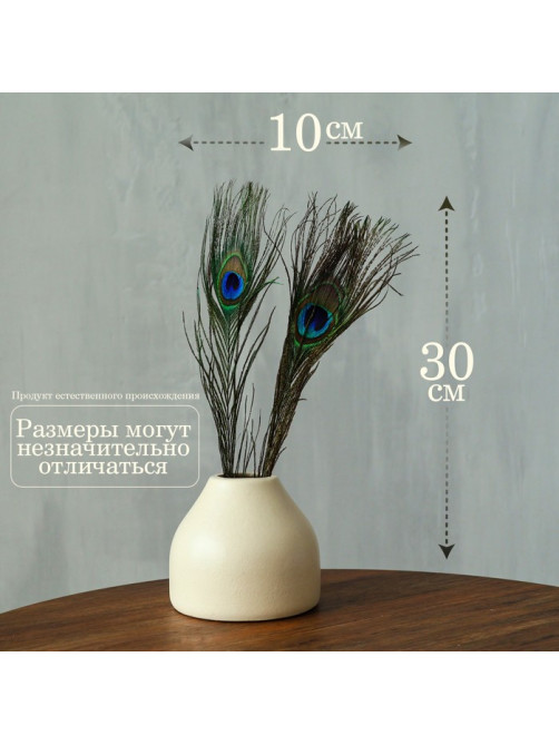 Перья павлина для декора 2 шт., 10×30 см