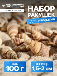 Набор ракушек 100 г