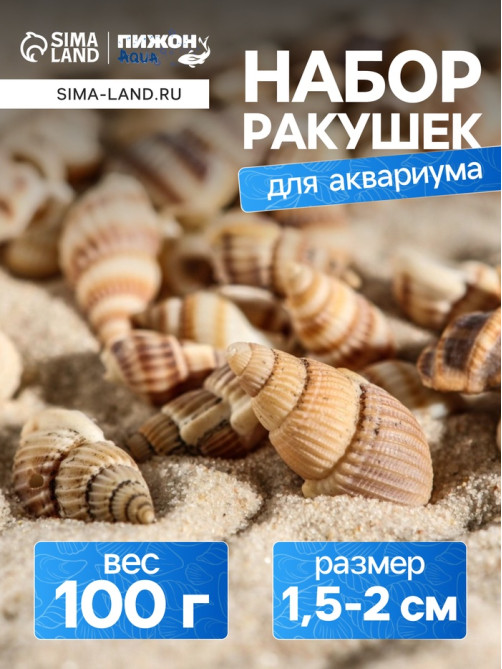 Набор ракушек 100 г