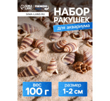 Набор ракушек, 1 - 2 см, 100 г