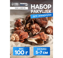 Набор ракушек, 5 - 7 см, 100 г