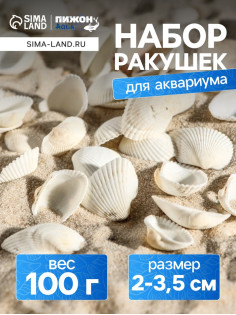 Набор ракушек, 2 - 3.5 см, 100 г