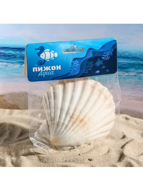 Ракушка декоративная Гребешок, 10-12 см