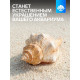 Ракушка декоративная, 8-11 см