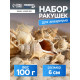 Набор ракушек Мурекс Трапа, 100 г