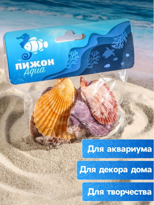 Набор ракушек Пектен Вексиллум средние, 4 - 6 см, 100 г