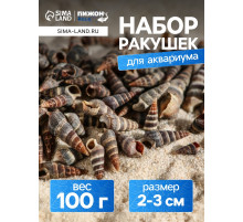 Набор ракушек Батиллярия, 100 г