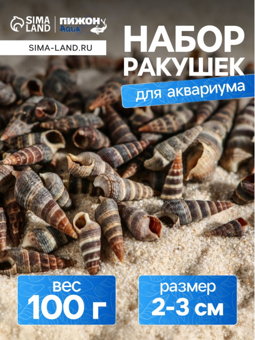 Набор ракушек Батиллярия, 100 г