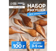 Набор ракушек, 3 - 5 см, 100 г