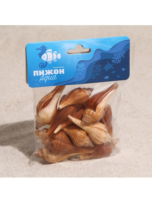 Набор ракушек, 3 - 5 см, 100 г