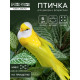 Декор на прищепке «Птица», МИКС, 10×3×3 см