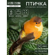 Птичка для декора и флористики, на прищепке, МИКС, 8×3.5×3 см