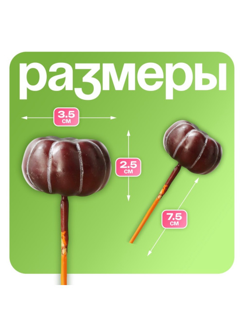 Топпер для творчества TAKE IT EASY «Тыковка», набор 10 шт., в цветы, в кашпо, 4×2 см
