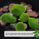Мох искусственный, для декора, «Мохнатые камни», набор 5 шт., зелёный, Greengo