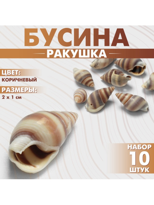 Бусины для творчества «Ракушка», 2×1 см, завиток, набор 10 шт., коричневые