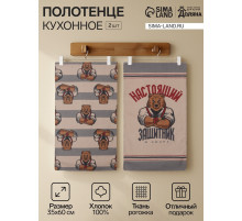 Набор полотенец кухонных «Доляна. Настоящий защитник», 35×60 см - 2 шт., рогожка, хлопок 100%, 160 г/м²