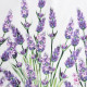 Фартук кухонный «Этель» Lavender, 60×70 см, 100% хлопок, саржа 190 г/м²