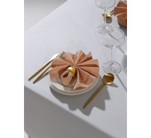 Набор салфеток с декоративными кольцами «Этель» Beige pleasure, 40×40 см - 2 шт., 100% хлопок, саржа 190 г/м²