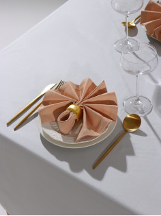 Набор салфеток с декоративными кольцами «Этель» Beige pleasure, 40×40 см - 2 шт., 100% хлопок, саржа 190 г/м²