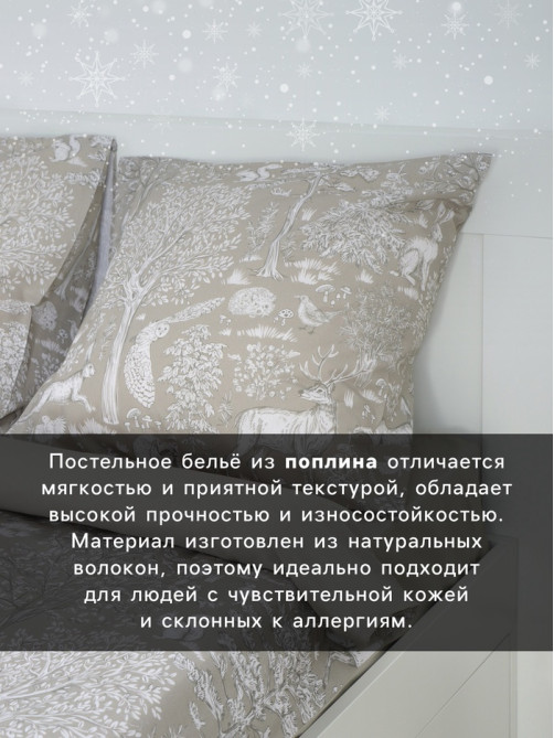 Постельное бельё 2-спальное «Этель. Сказочный лес», поплин