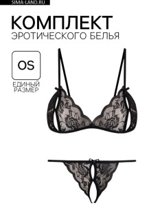 Комплект эротического белья, размер OS, черный