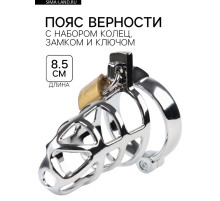 Пояс верности «Клетка целомудрия № 2», кольца d=4; 4.5; 5 см, замок, ключ, металл