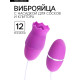 Виброяйца с насадкой для сосков и клитора, 12 режимов, USB, силикон, фиолетовый