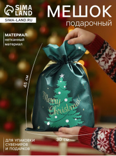 Мешок подарочный новогодний «Новогоднее чудо», 30×45 см