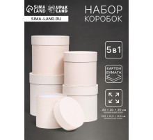 Набор шляпных подарочных коробок 5 в 1 «Ваниль однотонный», 20×20×20 ‒ 13.5×13.5×13.5 см
