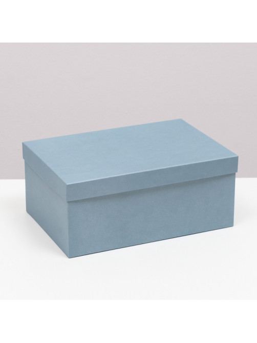 Набор подарочных коробок 10 в 1 «Барракуда», 30.5×20×13 - 12×6.5×4 см