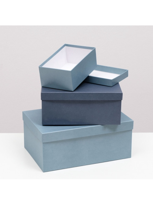 Набор подарочных коробок 10 в 1 «Барракуда», 30.5×20×13 - 12×6.5×4 см