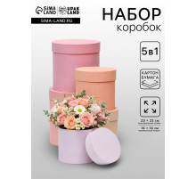Набор круглых коробок 5 в 1 «Рассвет» 23×23×23 - 14×14×14 см