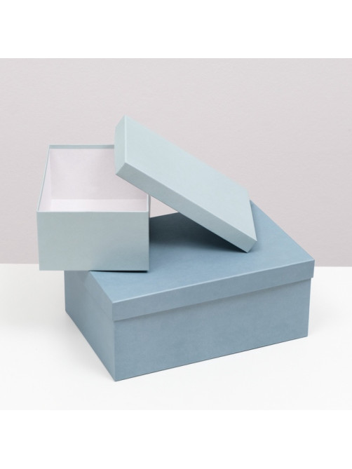 Набор подарочных коробок 10 в 1 «Барракуда», 30.5×20×13 - 12×6.5×4 см