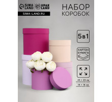 Набор шляпных подарочных коробок 5 в 1« Нежность», 23×23 - 14×14 см