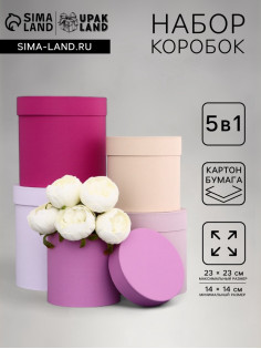 Набор шляпных подарочных коробок 5 в 1« Нежность», 23×23 - 14×14 см