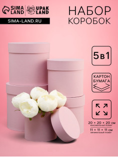 Набор круглых подарочных коробок 5 в 1 «Пыльная роза», 20×20×20 - 11×11×11 см см