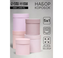 Набор шляпных подарочных коробок 5 в 1 «Пудра»,20×20×20‒13.5×13.5×13.5 см
