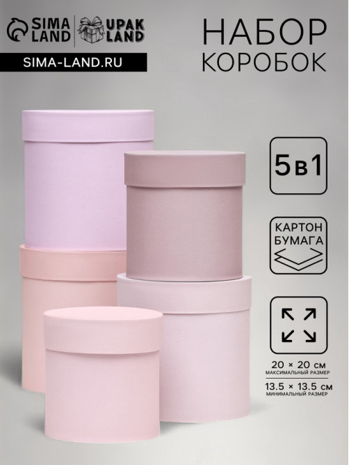 Набор шляпных подарочных коробок 5 в 1 «Пудра»,20×20×20‒13.5×13.5×13.5 см