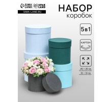 Набор шляпных коробок 5 в 1
