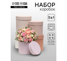 Набор круглых коробок 5 в 1 «Нюд», 20×20×20 - 11×11×11 см