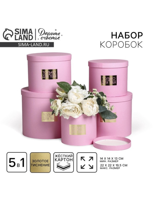 Набор коробок для цветов 5 в 1, упаковка подарочная, «Нежность», 14×14×13 см - 22×22×19.5 см