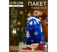 Пакет подарочный новогодний с завязками, «Зимний лес», 29×43 см
