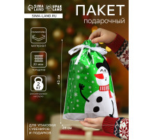 Пакет подарочный новогодний с завязками, «Бенгальские огни», 29×43 см