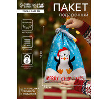 Пакет подарочный новогодний с завязками, «Счастливый пингвин», 29×43 см