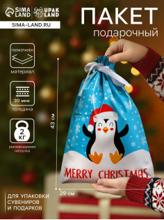 Пакет подарочный новогодний с завязками, «Счастливый пингвин», 29×43 см