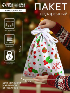 Пакет подарочный новогодний с завязками, «Ассорти», 24×32 см