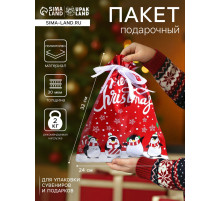 Пакет подарочный новогодний с завязками, «Пингвины», 24×32 см